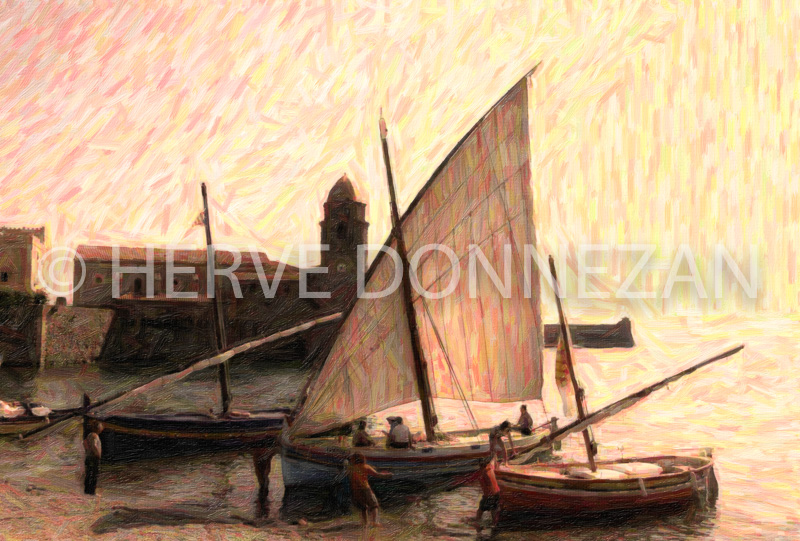 2499_COLLIOURE_CATALANE