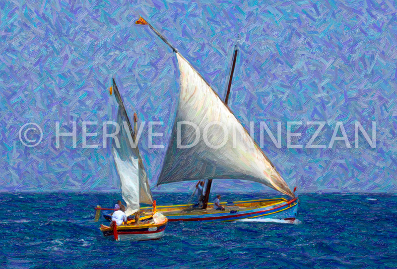 2524_COLLIOURE_CATALANE
