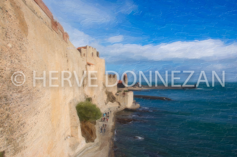 3603_COLLIOURE_CHATEAU