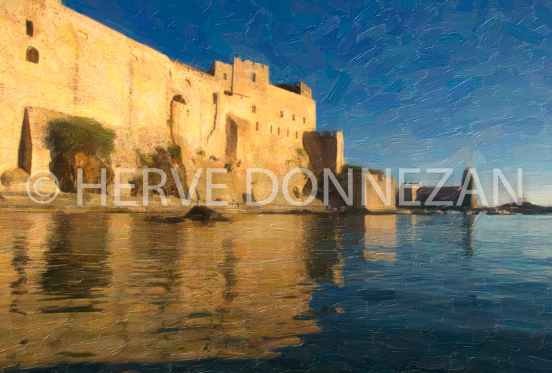 3605_COLLIOURE_CHATEAU