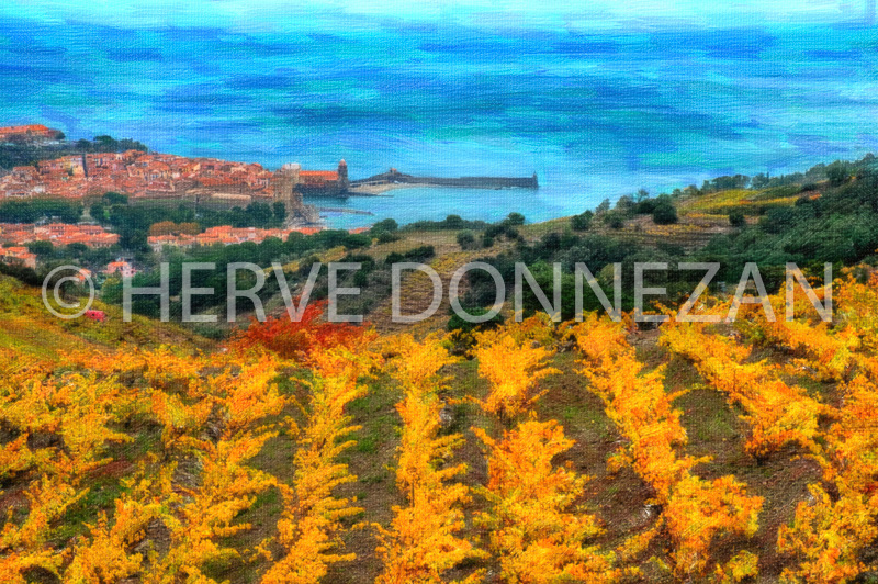 6479-0138099-COLLIOURE-AUTOMNE-paint