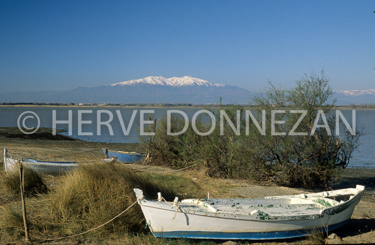 1937_39163_ETANG CANET