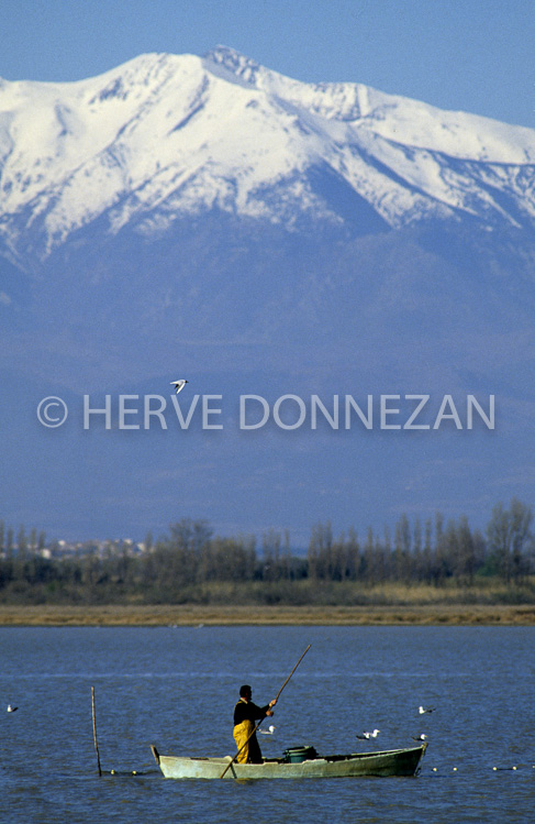 1958-39148_ETANG CANET CANIGOU