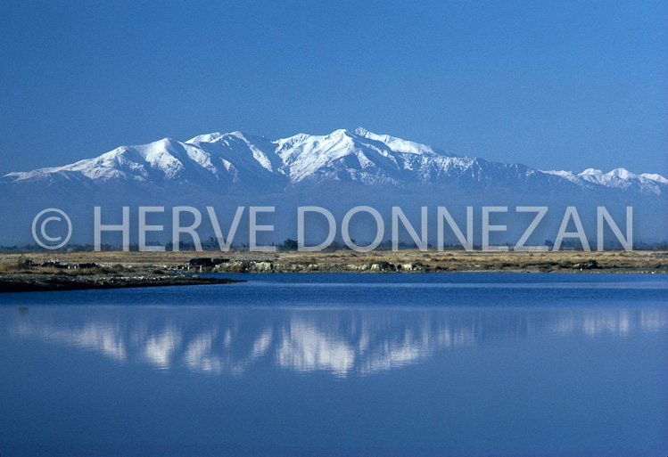 1982_40416_CANIGOU