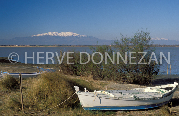 1983_ETANG CANET_CANIGOU_A4_