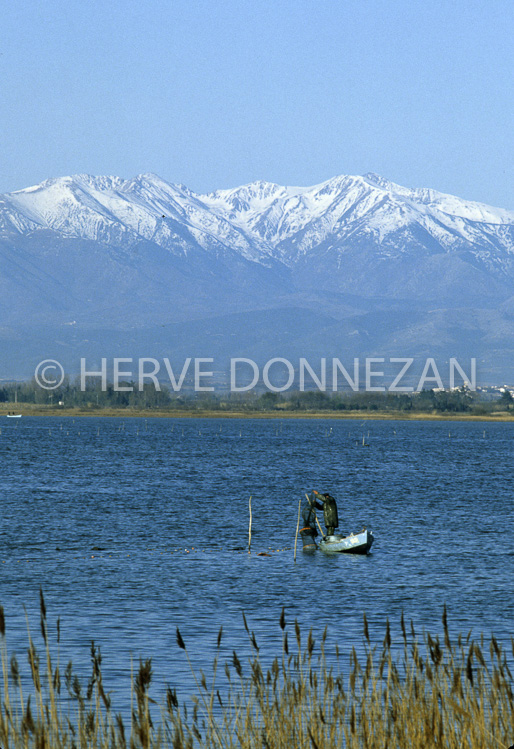 2181_42910_ETANG CANET_CANIGOU