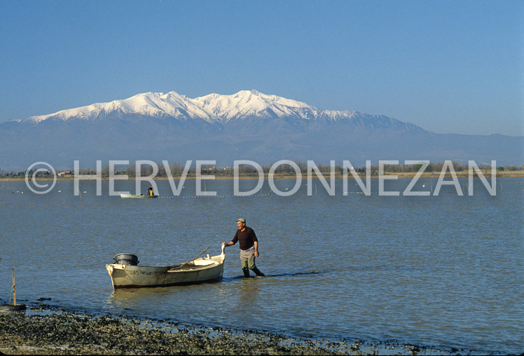 2484_9031-ETANG-CANET_CANIGOU