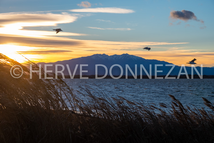 6101-CANIGOU SUNSET ETANG