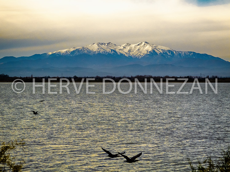 6103-1277-CANIGOU-MOUETTES-HDR