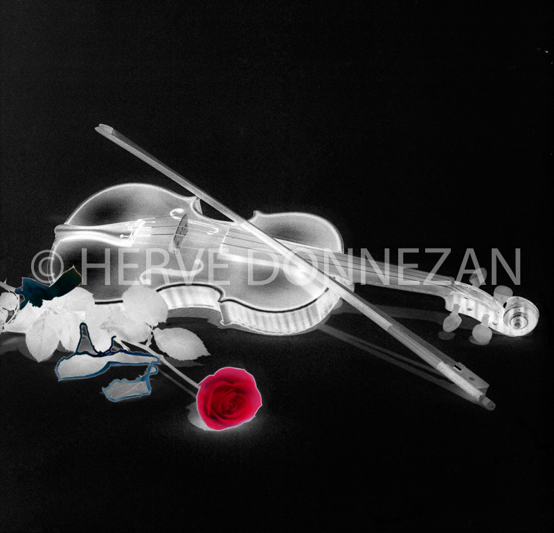 3816_109769_VIOLON_R