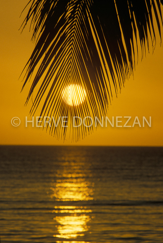 0751-31846 SUNSET_PALMIER_