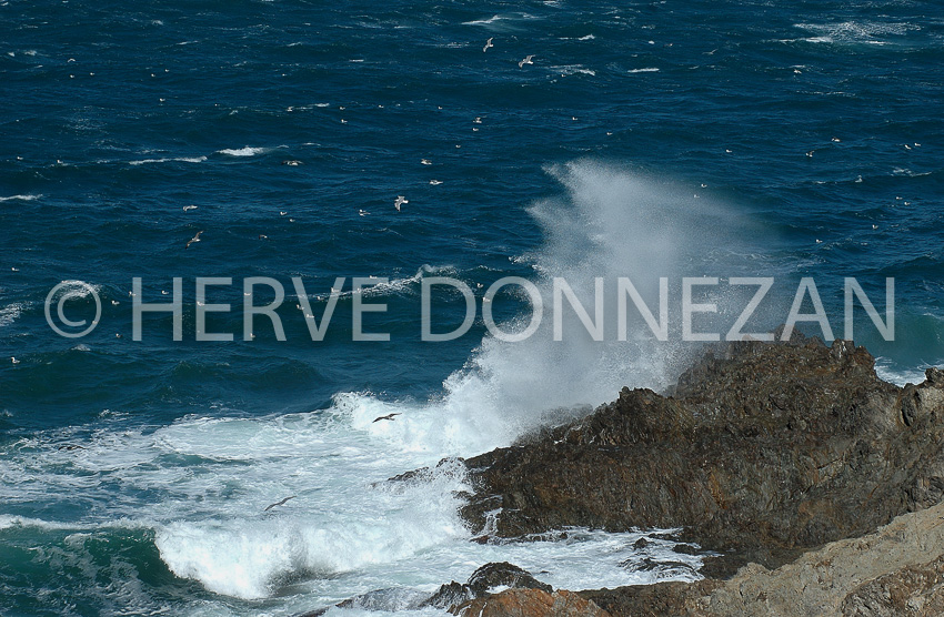 1033_34188 MER VAGUES 