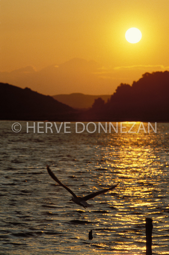 1215_19700_SUNSET_ETANG-