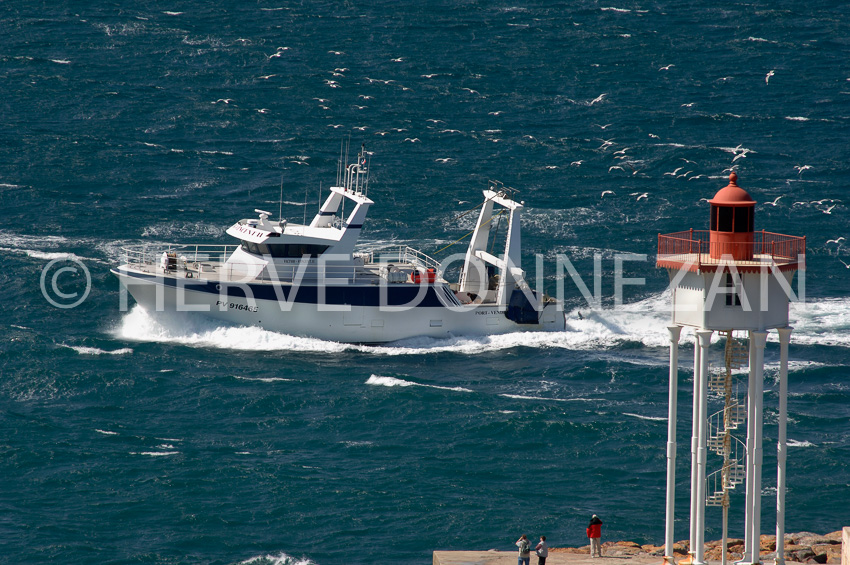 1820_49238_PORT VENDRES CHALUT_