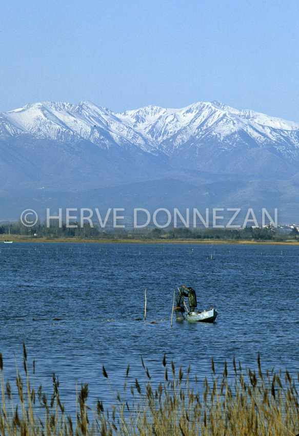 2181_42910_ETANG CANET_CANIGOU_