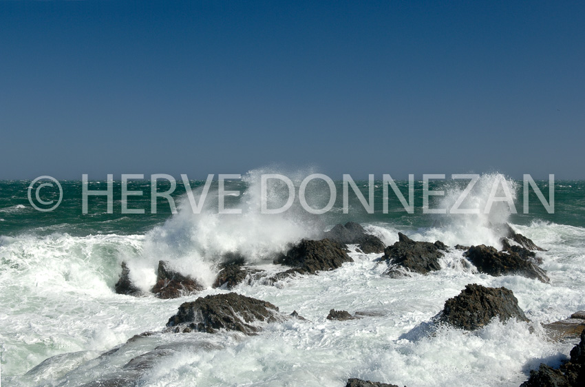 2317_63021_VAGUES TRAMONTANE_