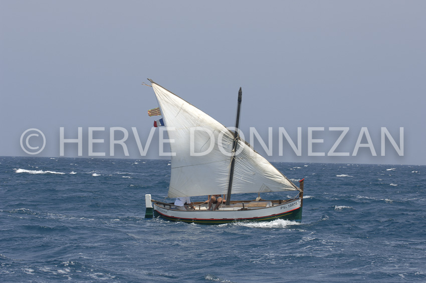 2523_66097_COLLIOURE_CATALANE_