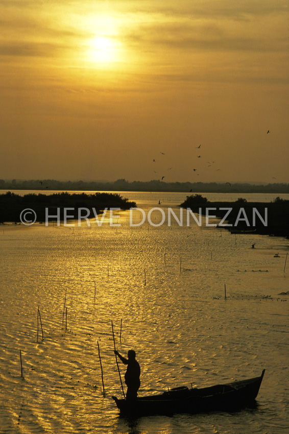 2581_35892_CANET ETANG_SUNSET_