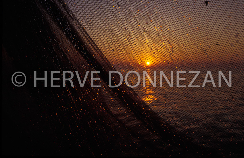 4086_35527_PECHE_SUNRISE_LAMPARO_