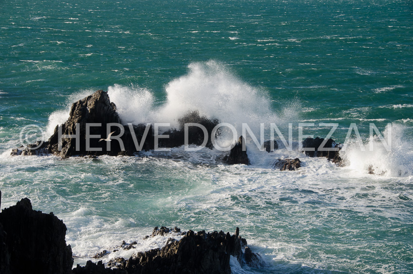 4756_6809_COLLIOURE-VAGUE_