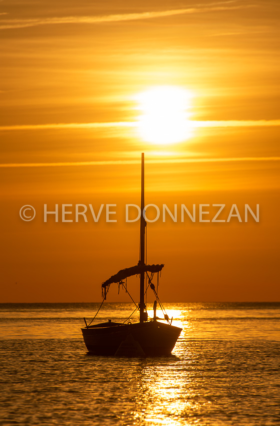 6654-0162491-CATALANE- SUNRISE-