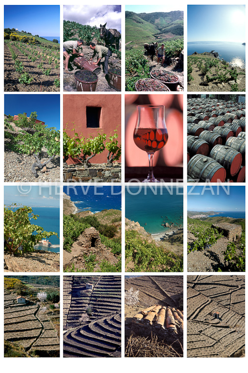 2457 _CRU_COLLIOURE_A3+