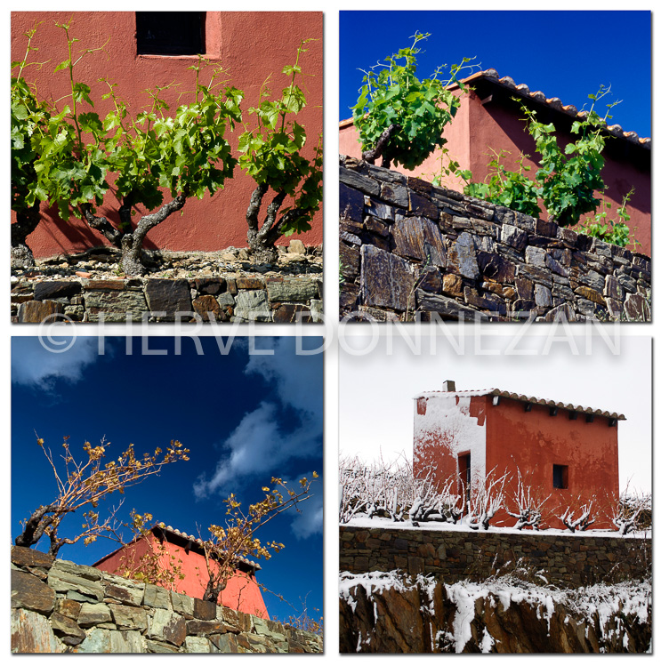 COLLIOURE 4 SAISONS 