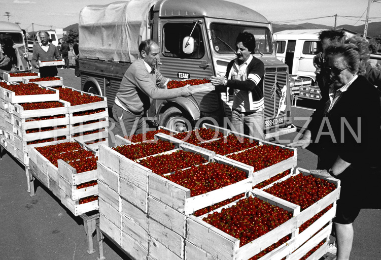 1620_29533 CERISES CERET BNC 