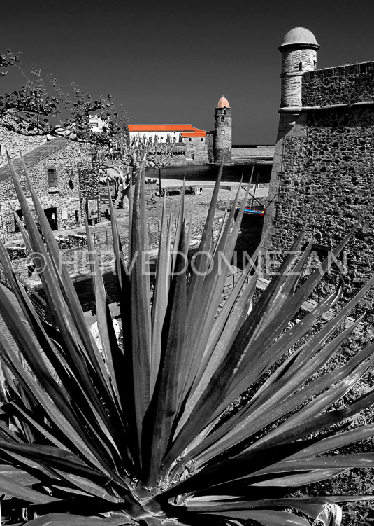 3318_0767_COLLIOURE-BNC