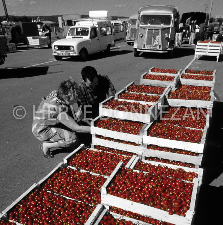 4917°61379_CERISES CERET-BNC