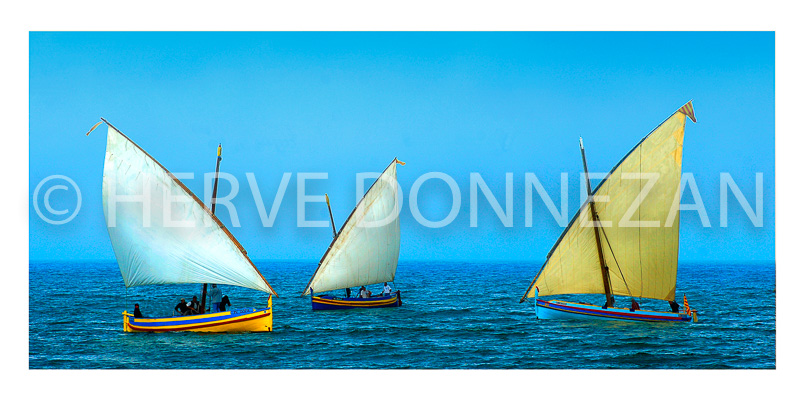 2327_COLLIOURE_CATALANES BLEU 26X56