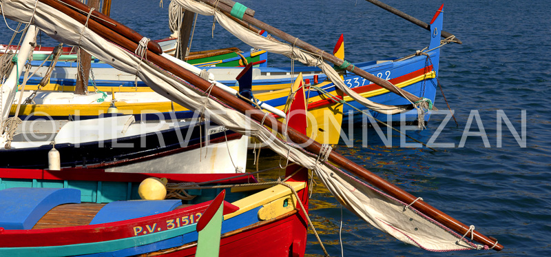 2636_COLLIOURE_CATALANES_PANO