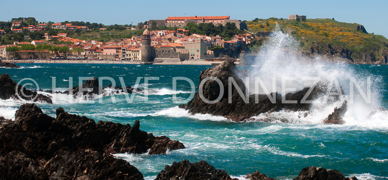 4245-8293_COLLIOURE VAGUES_26x56