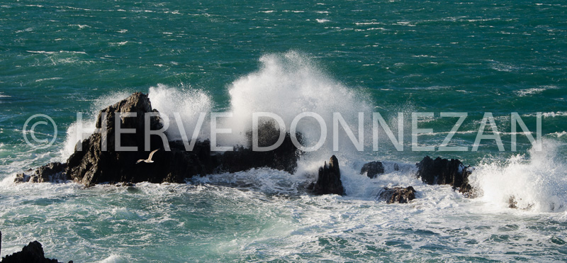 4756_6809_COLLIOURE-VAGUE_26X56