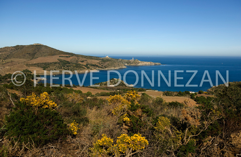 FRANCE PYRENEES ORIENTALES VIGNOBLE BANYULS