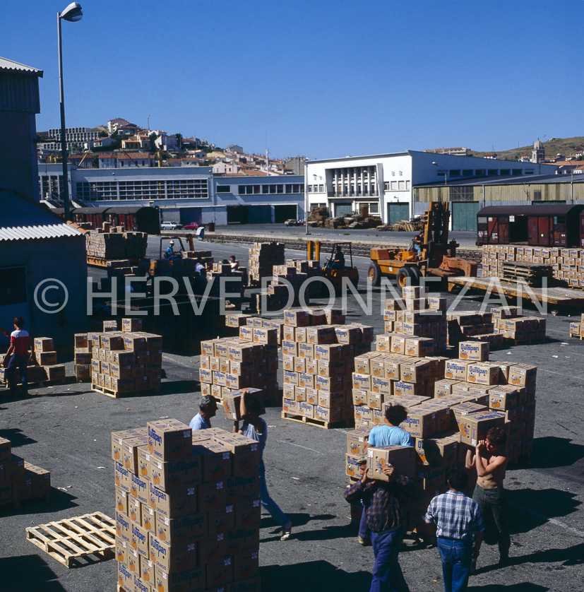 FRANCE ROUSSILLON PYRENEES ORIENTALES PORT VENDRES