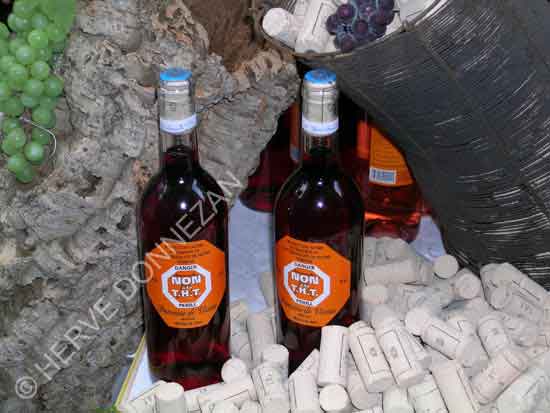 DSCN3329