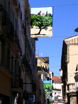 DSCN3282