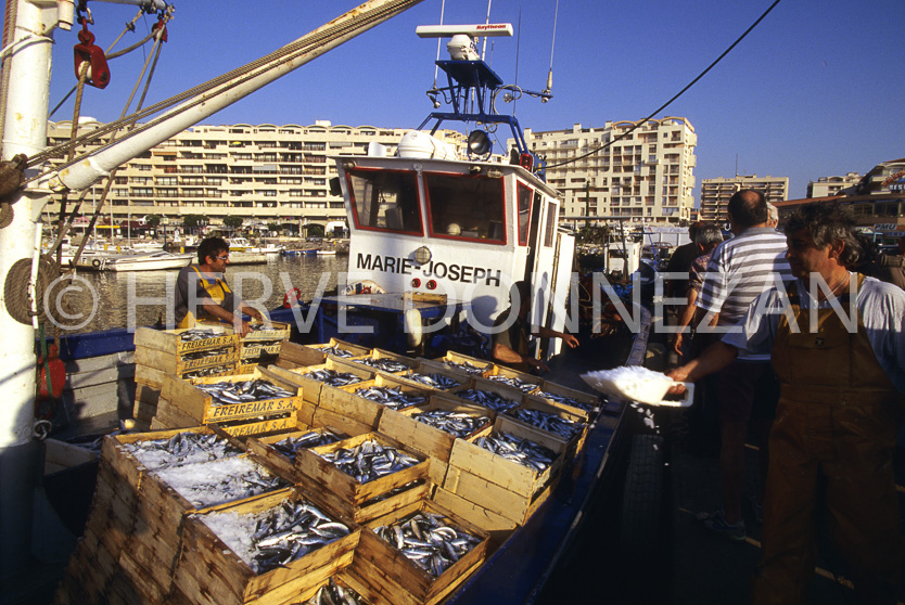 FRANCE ROUSSILLON PORT ST CYPRIEN