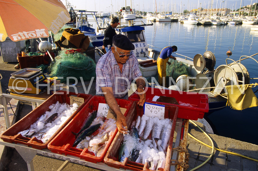 FRANCE ROUSSILLON PORT ST CYPRIEN