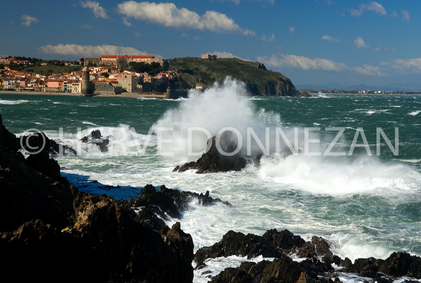 FRANCE ROUSSILLON COLLIOURE