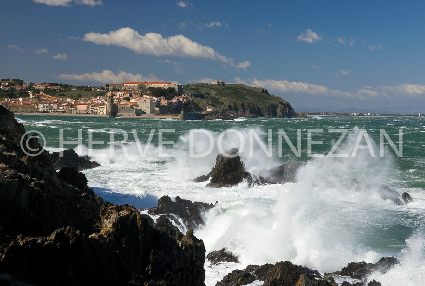 FRANCE ROUSSILLON COLLIOURE