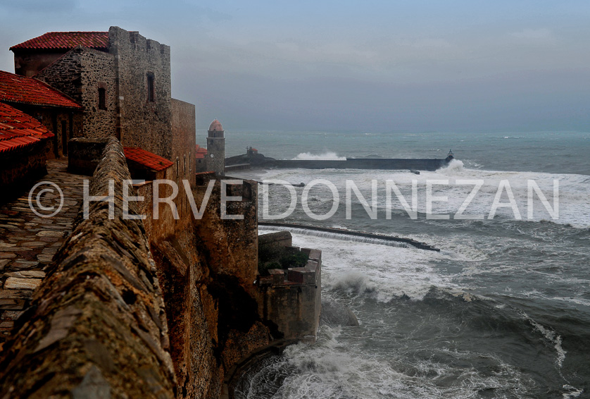 FRANCE PYRENEES ORIENTALES ROUSSILLON COLLIOURE