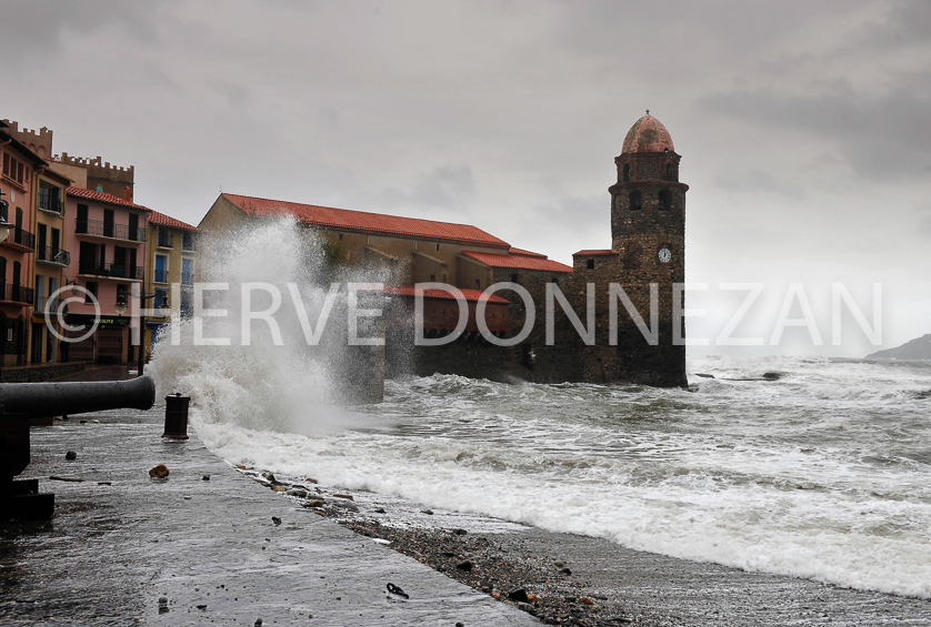 FRANCE PYRENEES ORIENTALES ROUSSILLON COLLIOURE