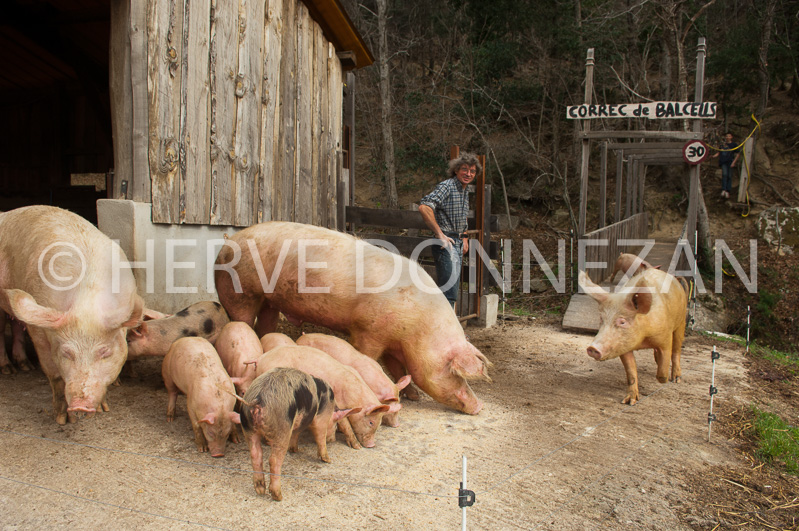 0063290-BERNARD