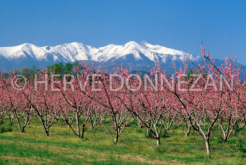 0387_CANIGOU_PECHERS