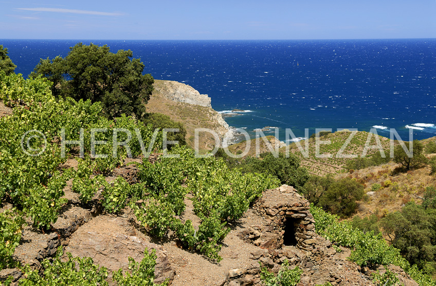 1971_4791BANYULS_CASOT_PIER_