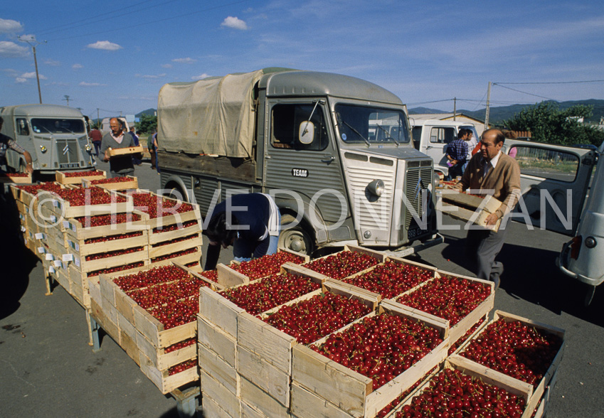 2334_61374_CERET_MARCHE_CERISES_