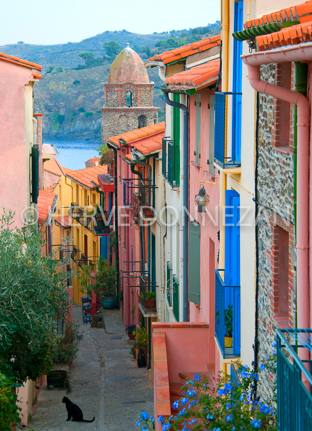 3540-4539_COLLIOURE_MIRADOR