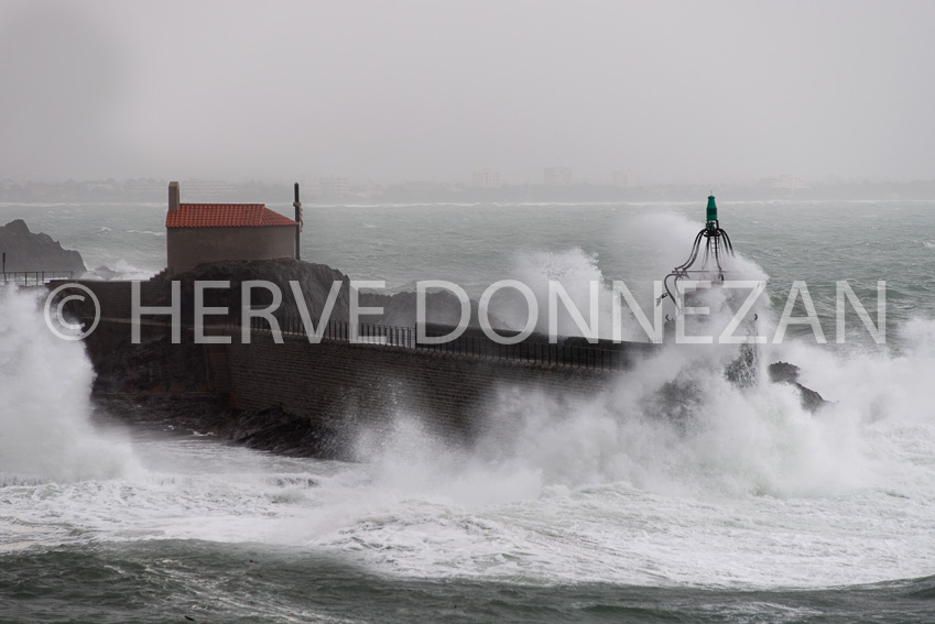 4605_0886_COLLIOURE_TEMP